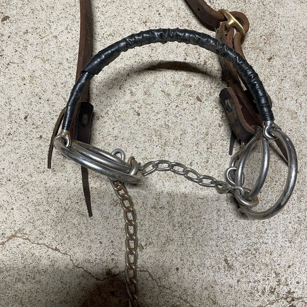 Metal nosed Horse gag Bit with Chain -